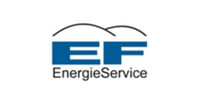 Elbe-Förde Energieservice GmbH